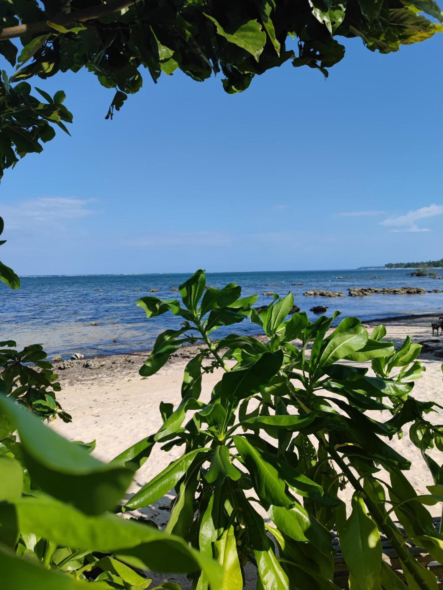 Daluyong Beach Resort Генерал-Луна Экстерьер фото