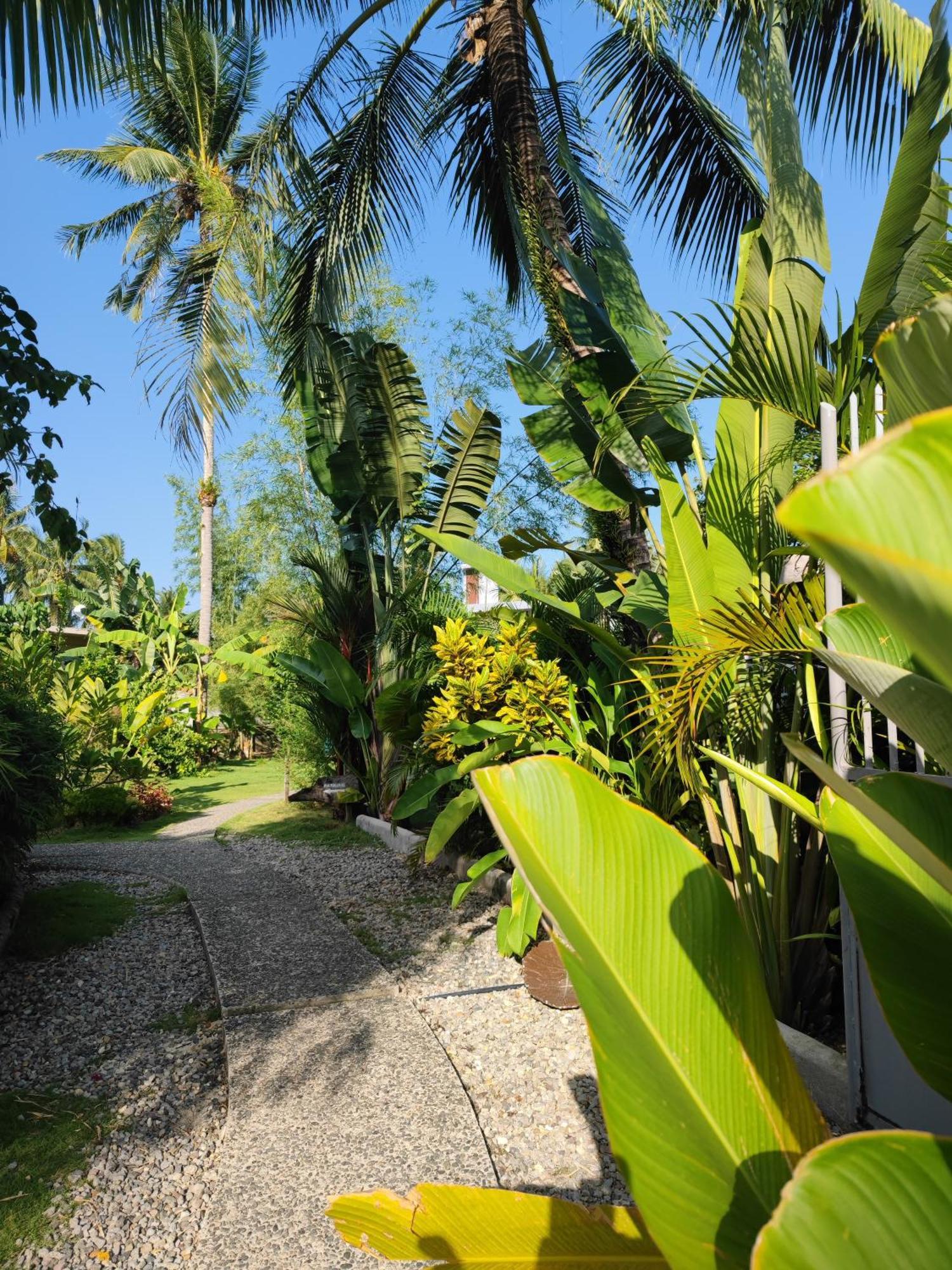 Daluyong Beach Resort Генерал-Луна Экстерьер фото