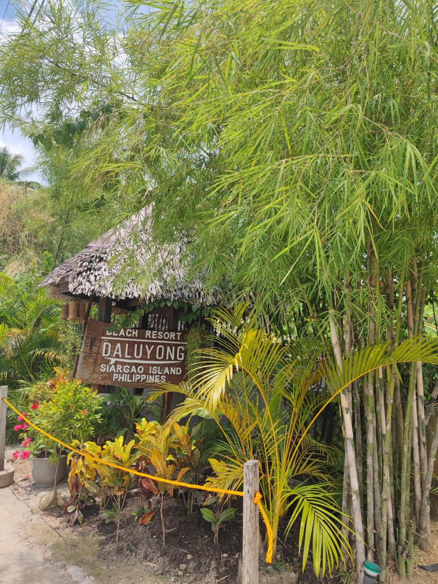 Daluyong Beach Resort Генерал-Луна Экстерьер фото